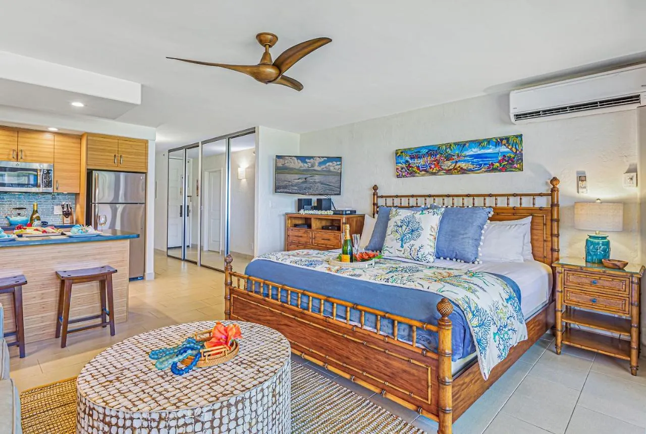 Papakea Oceanview Studio Condo Lahaina Apartmán