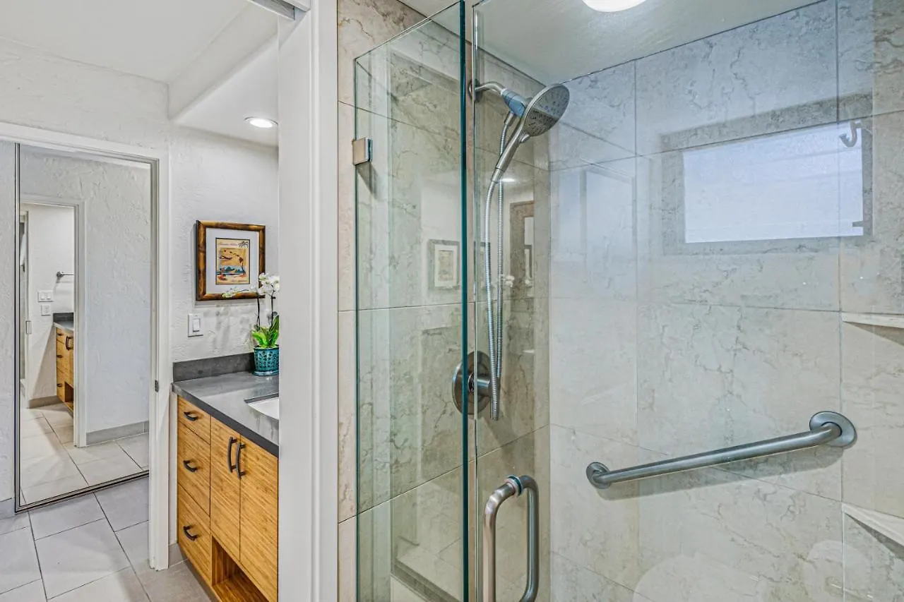 Papakea Oceanview Studio Condo Lahaina