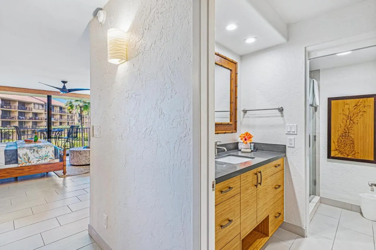 Papakea Oceanview Studio Condo Lahaina 0*,